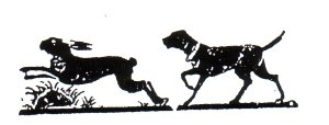 Hase springend / Hund laufend