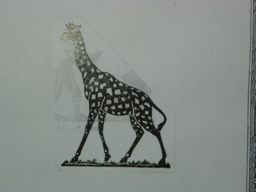 Giraffe gehed 70mm